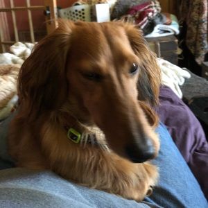 Meet your Posher, Leslie